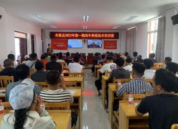 图片2 图片2