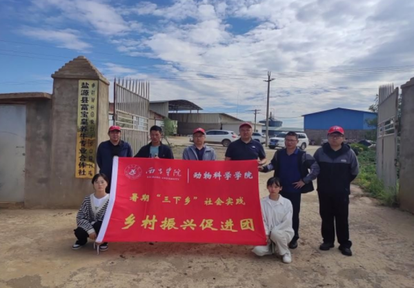 图片3 图片3