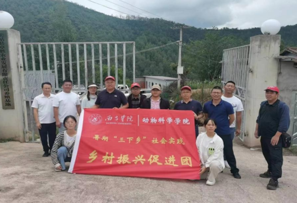 图片4 图片4