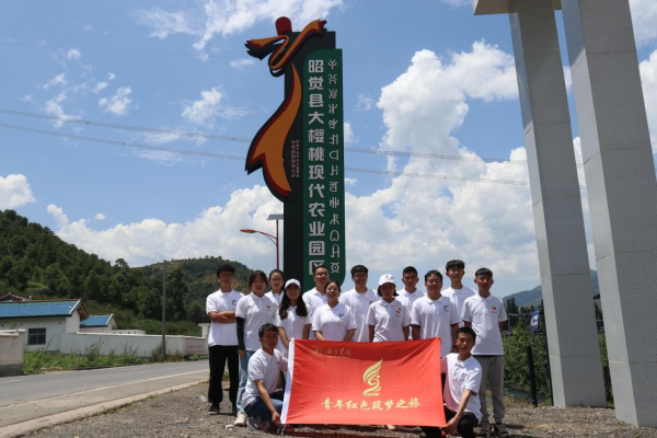 图片1 图片1
