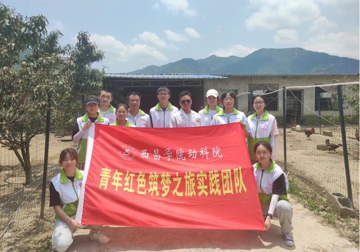图片4