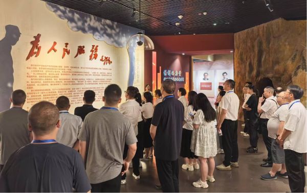 图片5 图片5