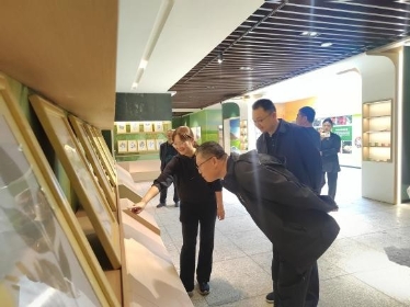 图片2 图片2