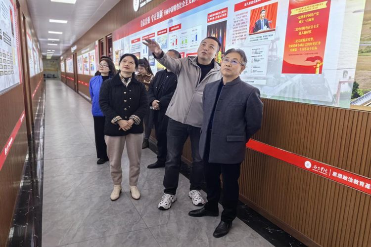 图片4 图片4