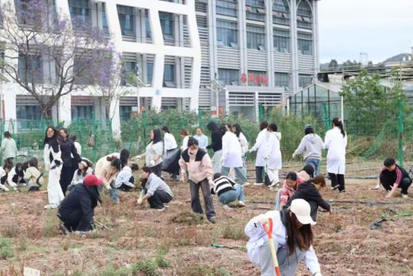 绿色农场除草行动活动简报180