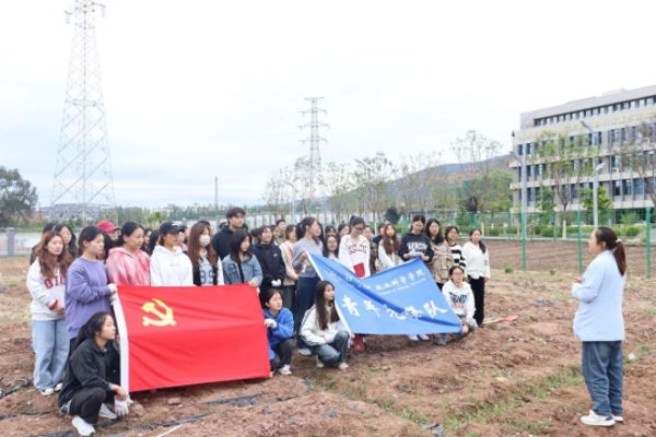 绿色农场除草行动活动简报368