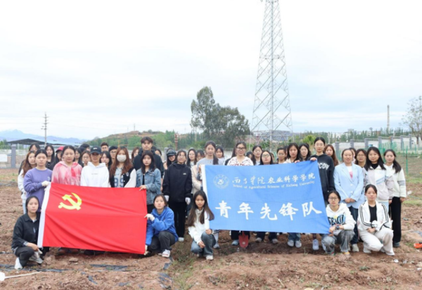 绿色农场除草行动活动简报433