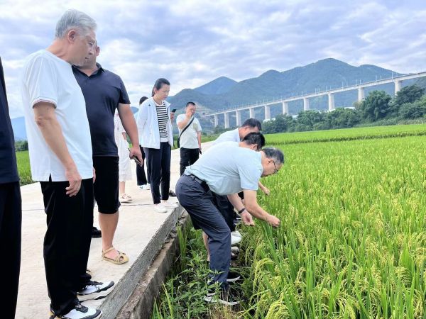 华中农业大学张启发院士一行到省重点实验室座谈交流