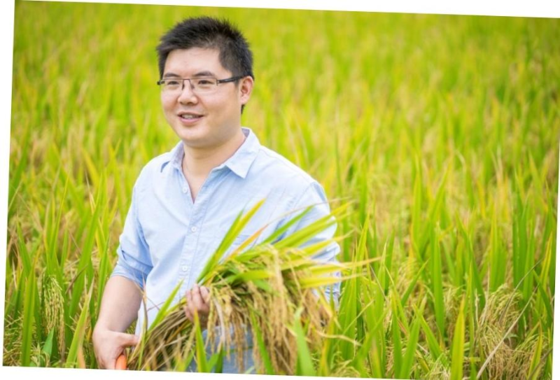 李君 李君