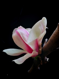 微信图片_20260331085136