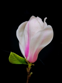 微信图片_20260331085142