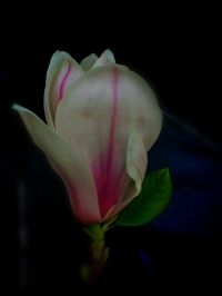 微信图片_20260331085158