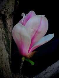 微信图片_20260331085211