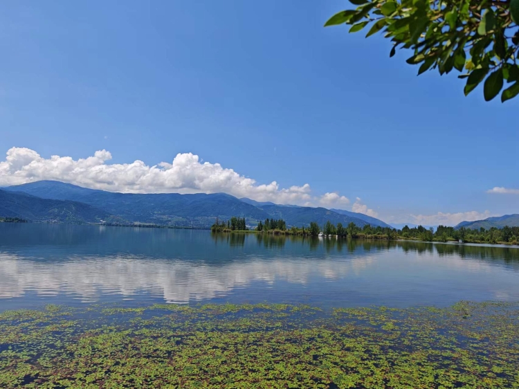 作者：耿迎雪，土木与水利工程学院 13568660960 摄影内容：春日下的邛海。灵感：春日邛海，波光似碎银，垂柳拂湖面，刺桐花燃遍岸堤，湖光花色晕染出凉山独有的温柔春韵。