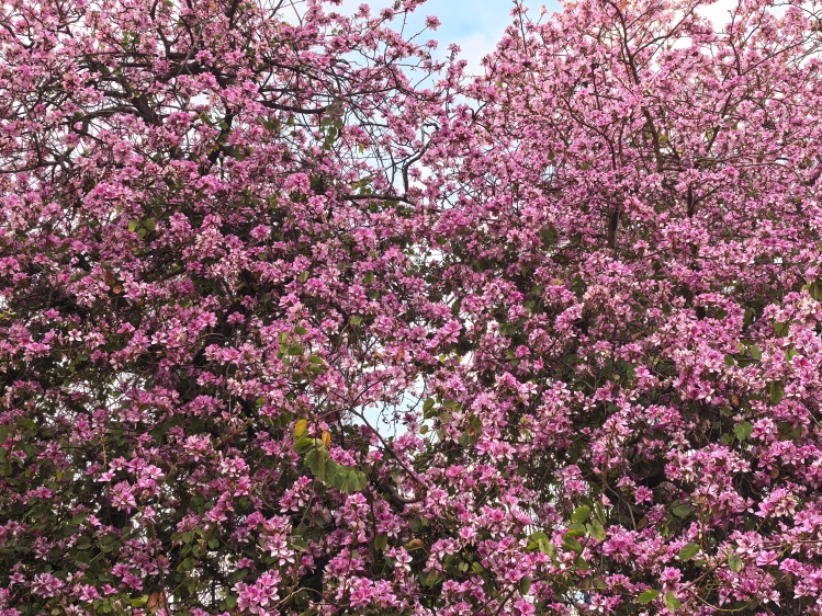 微信图片_20260331105517