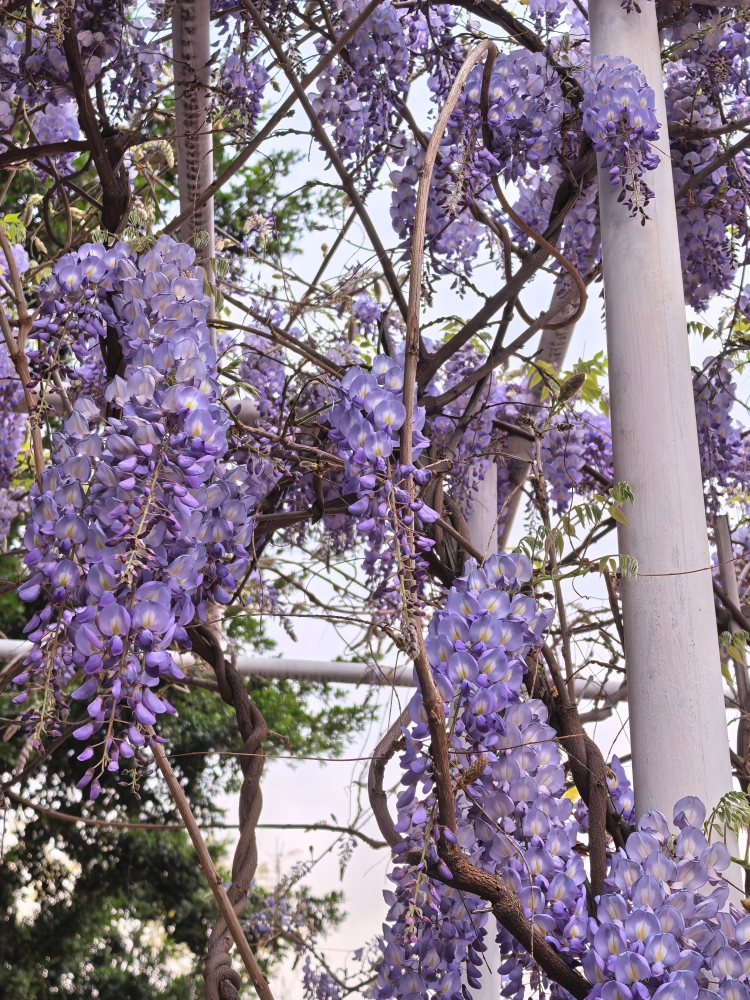 微信图片_20260331105530