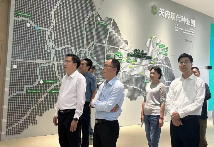 图片7
