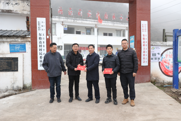 图片14 图片14