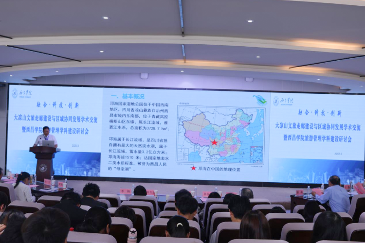 图片13