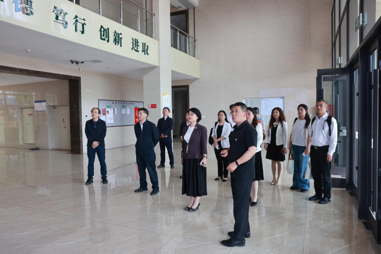 图片15 图片15