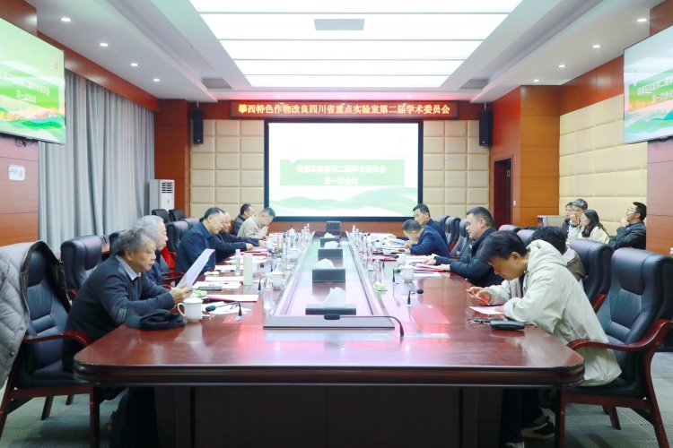 大场景 (3) 大场景 (3)