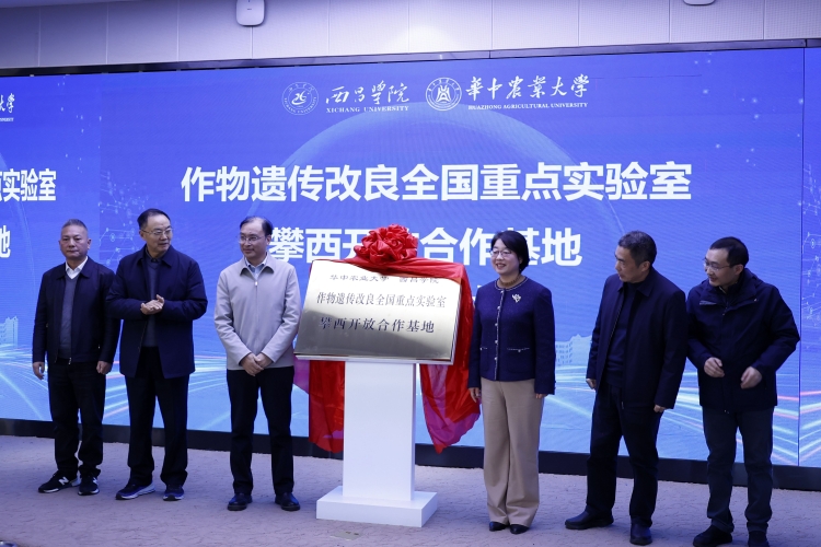 揭牌仪式 (2) 揭牌仪式 (2)