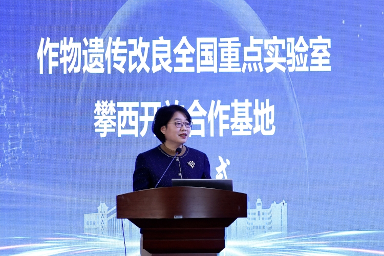 白洁 (2) 白洁 (2)