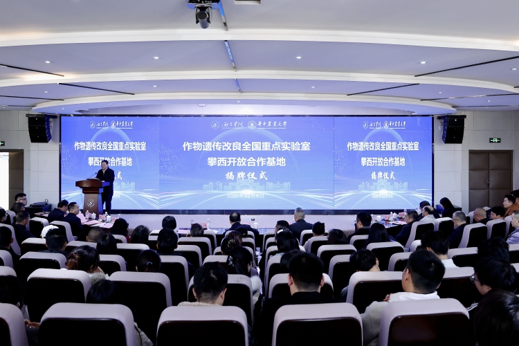 大场景 (2)(1) 大场景 (2)(1)