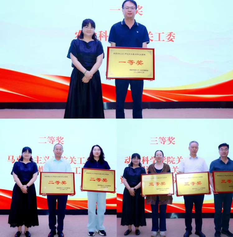 图片8 图片8