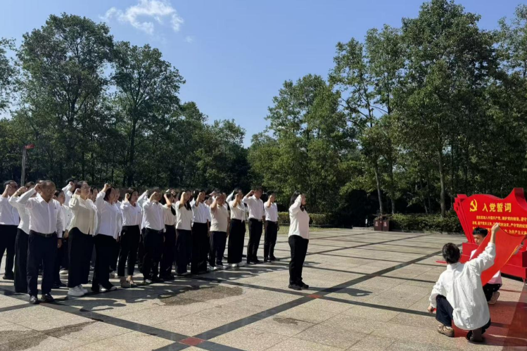 图片11