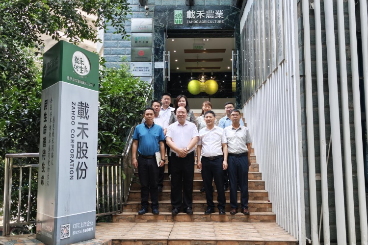 图片7 图片7