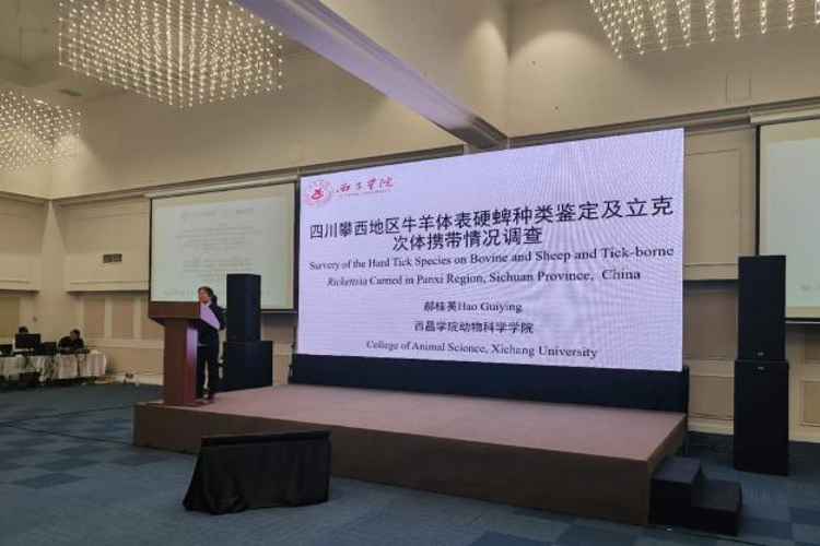图片5 图片5
