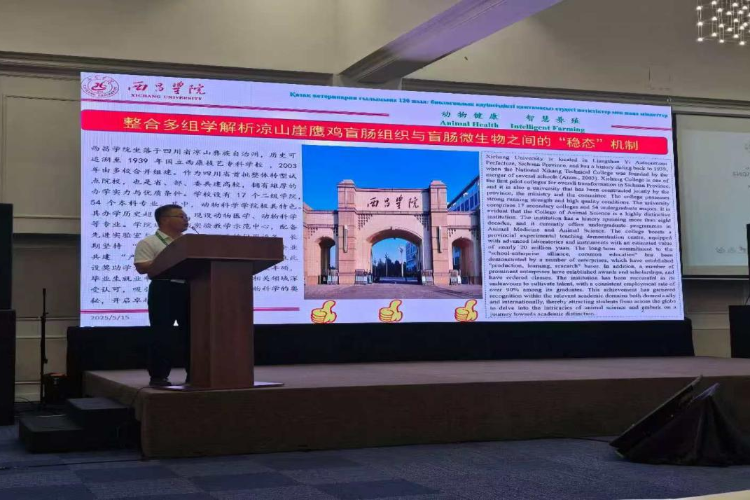 图片6 图片6