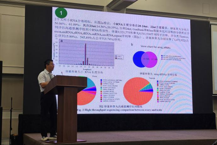 图片7 图片7