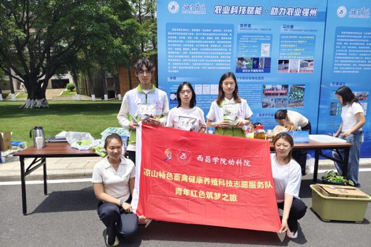 图片3 图片3