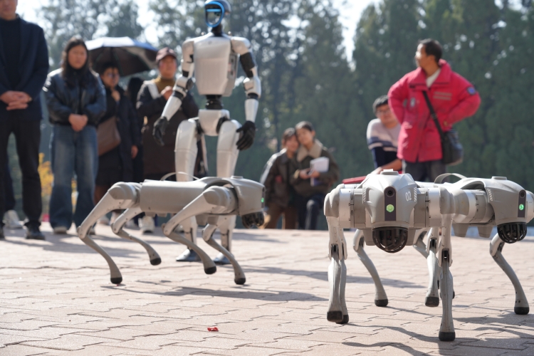 微信图片_20251231234240_42_53