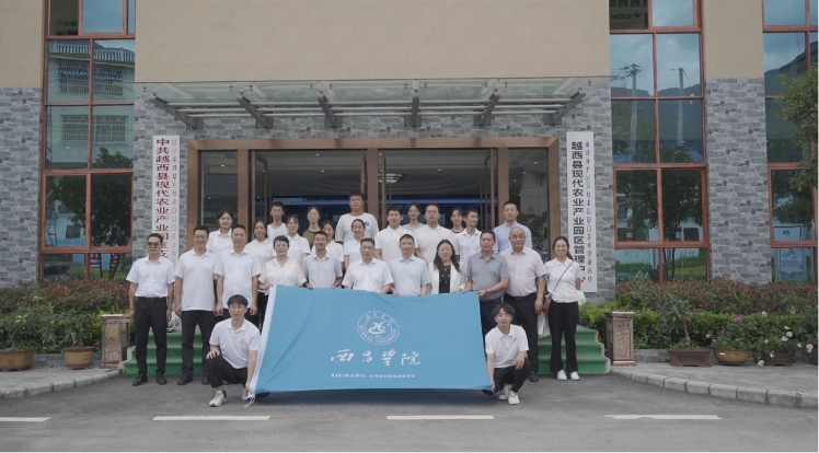 图片4 图片4